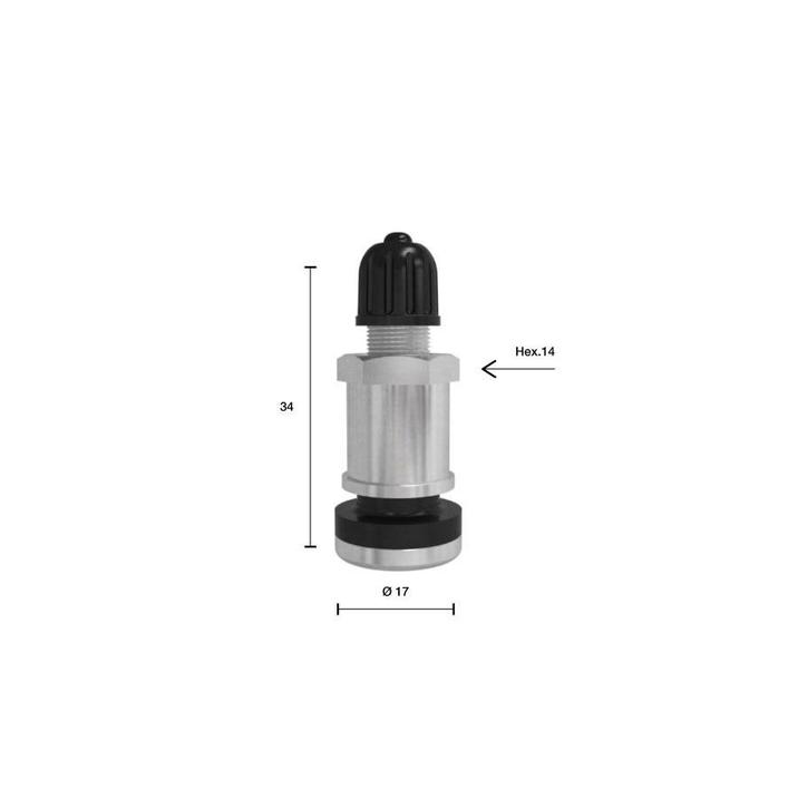 1399 Toerisme tubeless ventiel TR416  Mich 2103