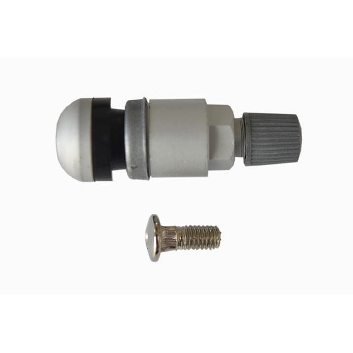 RDV021 zilver ventiel TWS model